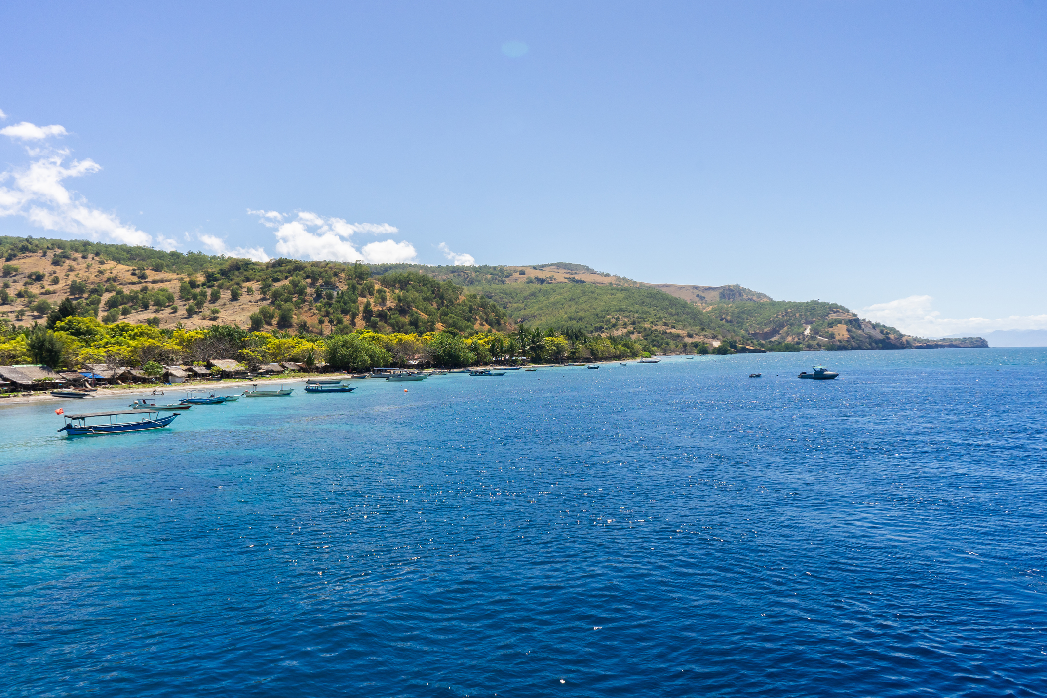 Why You Should Visit Atauro Island: Timor-Leste’s Hidden Paradise ...